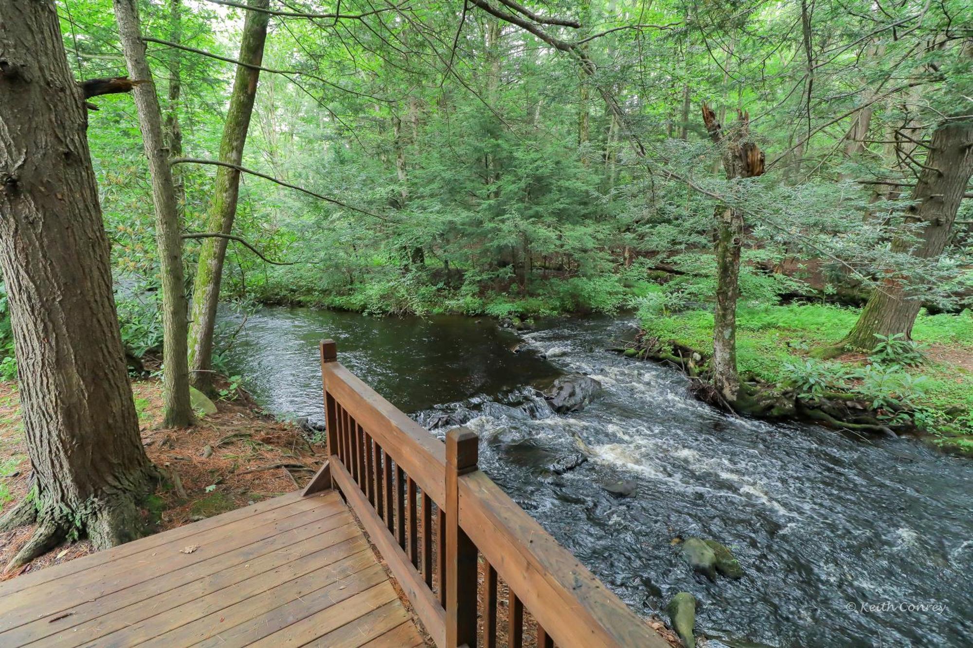 Magnolia Streamside Resort Canadensis Pokoj fotografie